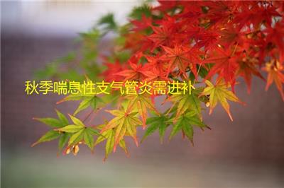 秋季喘息性支氣管炎需進補