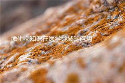 微生物知識(shí)在醫(yī)學(xué)領(lǐng)域的應(yīng)用