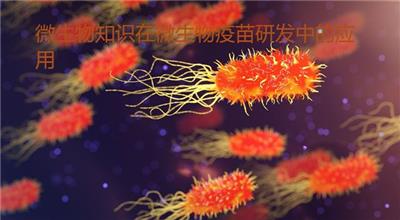 微生物知識(shí)在微生物疫苗研發(fā)中的應(yīng)用