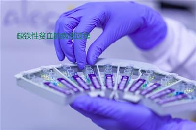 缺鐵性貧血的病理過(guò)程