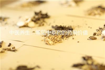 中醫養生：常見中草藥的藥用價值