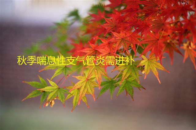 秋季喘息性支氣管炎需進補