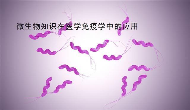 微生物知識在醫學免疫學中的應用