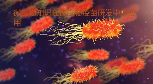 微生物知識在微生物疫苗研發(fā)中的應(yīng)用