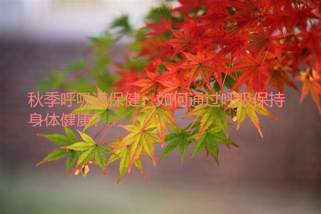秋季呼吸道保?。喝绾瓮ㄟ^呼吸保持身體健康？